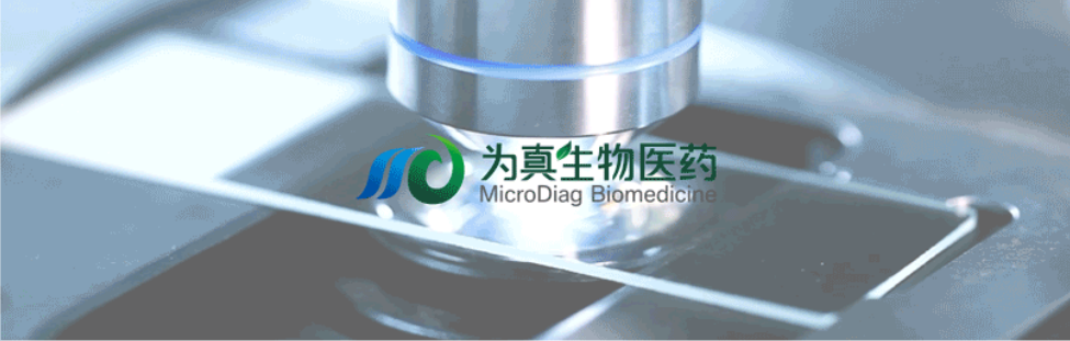 王莹院长领衔，王弢博士技术负责的研发项目获浙江省2024年度“尖兵”“领雁”研发攻关计划项目立项